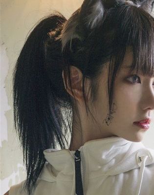 痴情快婿普通话 版